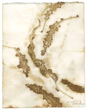 "Eucalyptus" leaf print on watercolor paper 10" x 8"